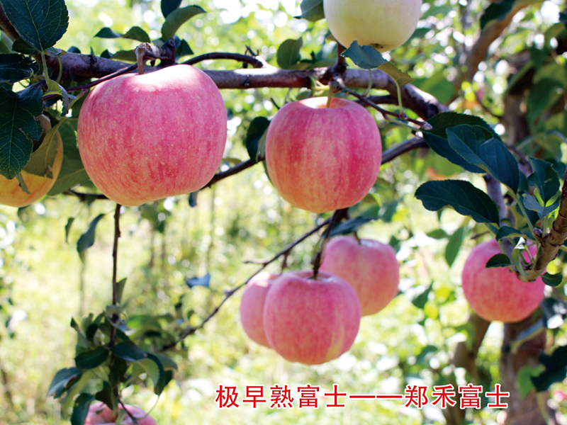 5c18d7b58e35a