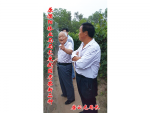领导指导工作