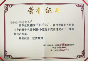 荣誉证书